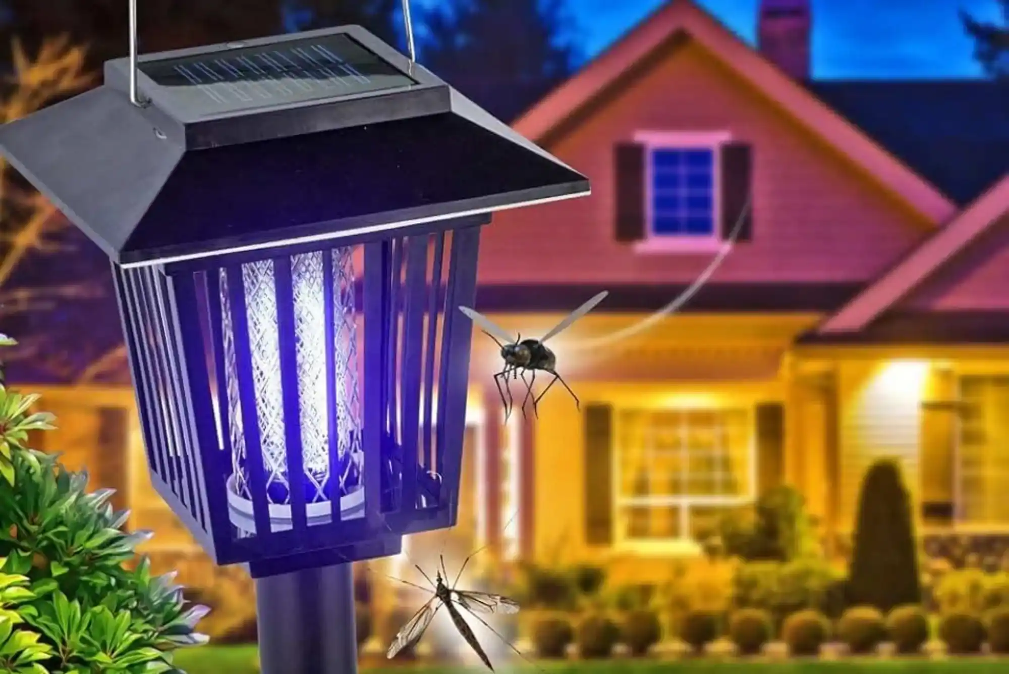 Can a Mosquito Killer Lamp