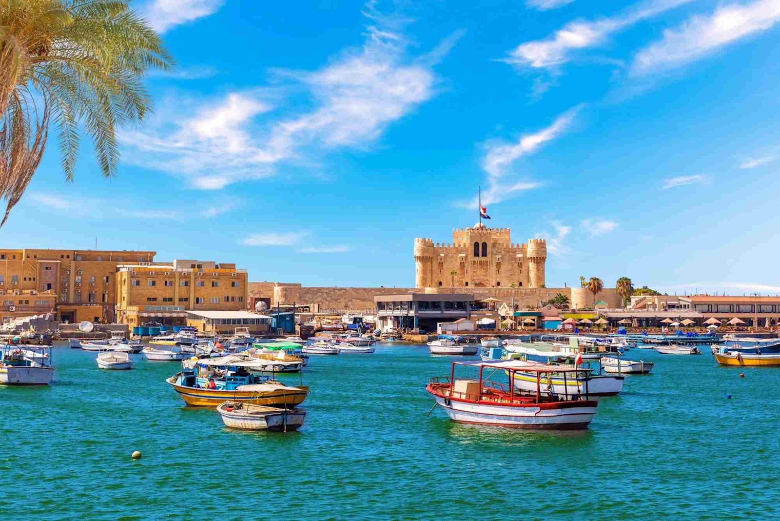شركات سياحة الاسكندرية