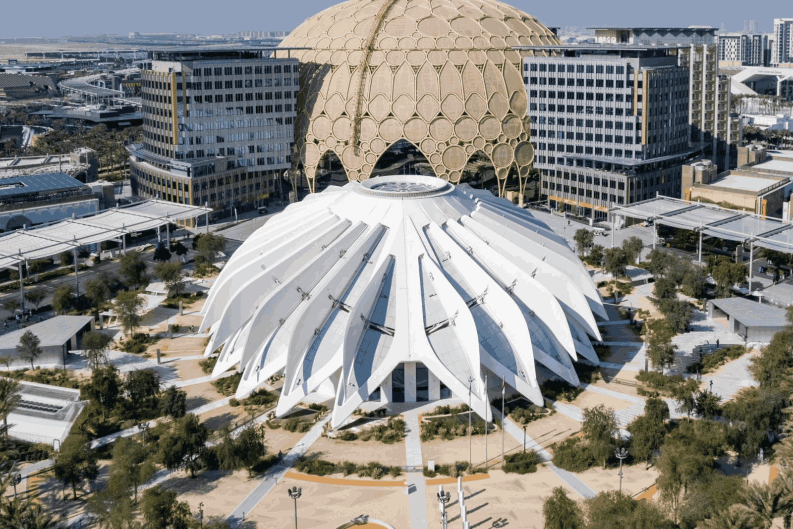 How to Get the List of Dubai Expo 2020 Companies 2025