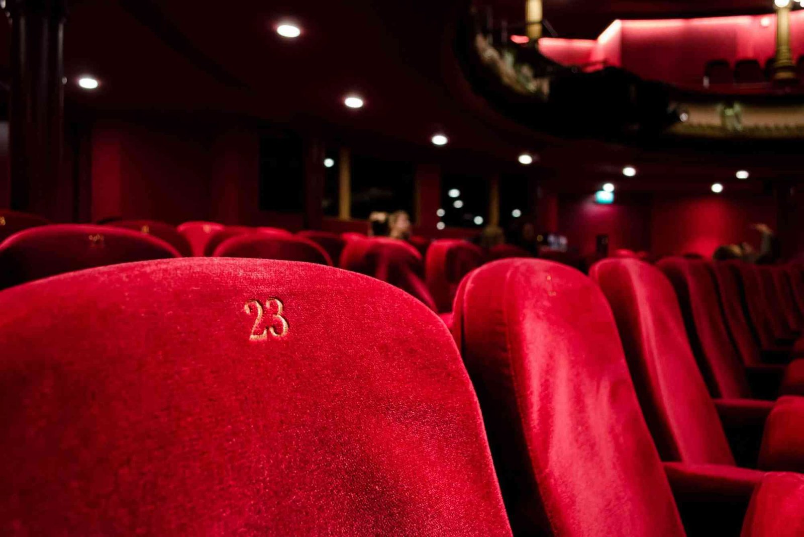 دور السينما شرح بسيط وواضح